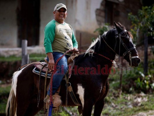 ¿Puede en estos tiempos el hijo de un campesino llegar a gobernar el país? Para Rodríguez Orellana, montando a caballo para la foto, no hay nada imposible. Foto: Emilio Flores / EL HERALDO.