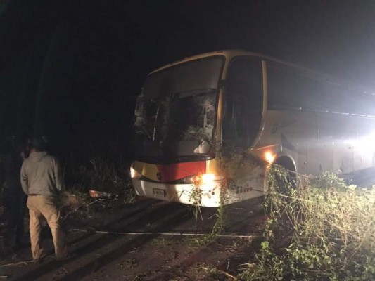 Impacto de autobús a red eléctrica en Santa Bárbara provoca pérdidas considerables