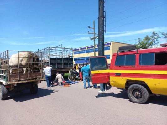 Muere joven tras ser arrollada por camión cargado de ganado en Olancho