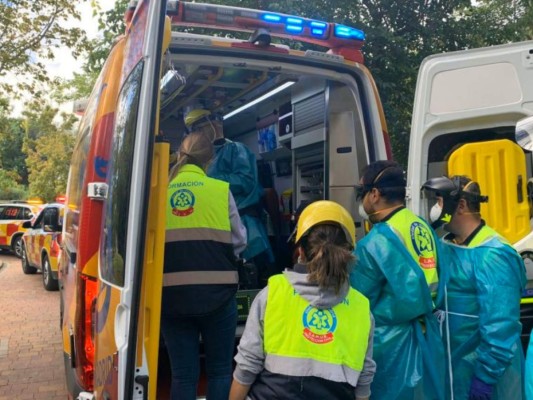 Gorila ataca a cuidadora cuando limpiaba en zoológico de Madrid