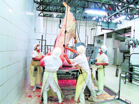 Transforman condiciones de rastro municipal de Danlí