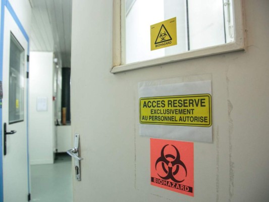 ¿Por qué no está claro que se vaya a encontrar una vacuna contra el Covid-19?