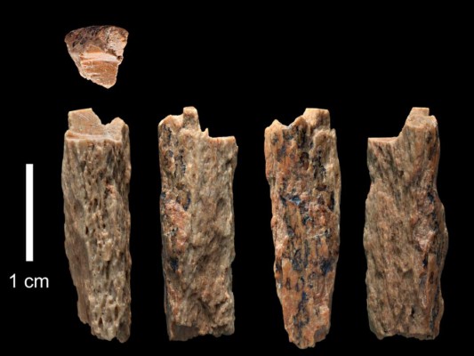 'Denny', como lo llamaron los investigadores, pertenecía a una hembra de al menos 13 años, que existió hace unos 50,000 años. Foto: AFP