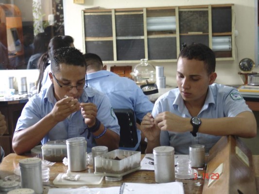 Honduras: Ampliarán carreras en la Esnacifor