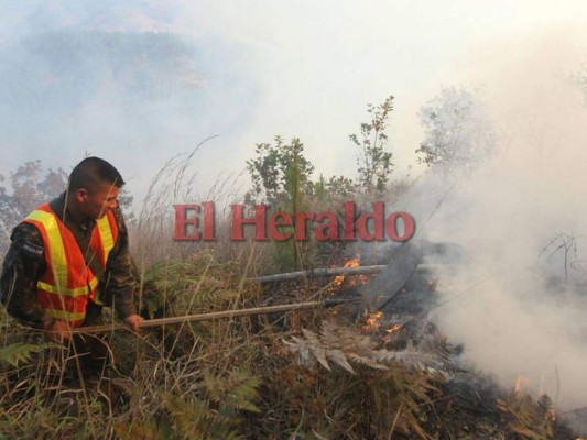 Voraz incendio de zacatera amenaza a varias viviendas en El Hatillo, en la capital de Honduras