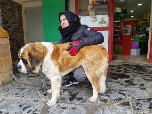 Aventura blanca en la sierra Nevada
