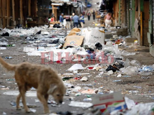 FOTOS: Mercados de Comayagüela amanecen inundados de basura en Navidad, después del 24 de diciembre