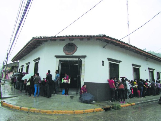 El Paraíso: Más de 1,000 docentes aplican para 249 plazas