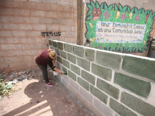 El ejemplar gesto de capitalina a favor de mejorar el ambiente