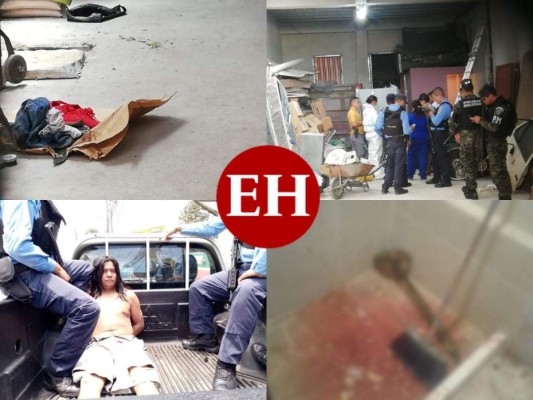 FOTOS: Escalofriante escena del crimen donde desmembraron a una mujer