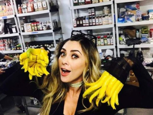 Aracely Arámbula calienta las redes con diminuto bikini