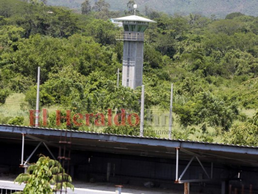 En selva y hábitat de serpientes se convirtió la megacárcel de Naco (Fotos)