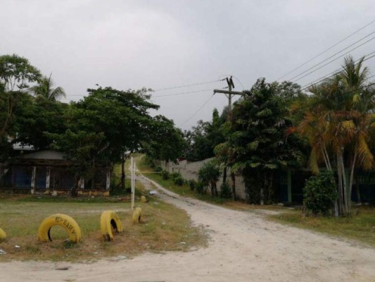 Mujer muere y otra resulta herida en tiroteo en la colonia San Miguel en Cortés