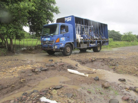 Valle urge de mayor inversión en temas de vulnerabilidad