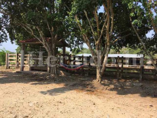 Honduras: Incautan bienes y finca a yerno de Arnulfo Valle Valle en Operación Estigia en Morazán, Yoro