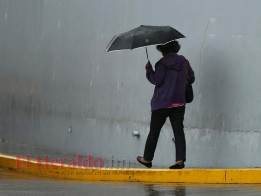 Lluvias leves y moderadas pronostican para inicios de septiembre