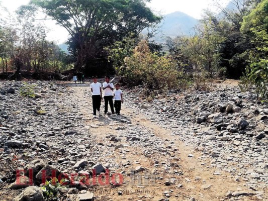 Escasez de agua golpea a pobladores del municipio de Alauca, El Paraíso