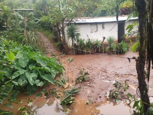 FOTOS: Destrucción y desesperación en Santa Bárbara tras paso de Eta y Iota   