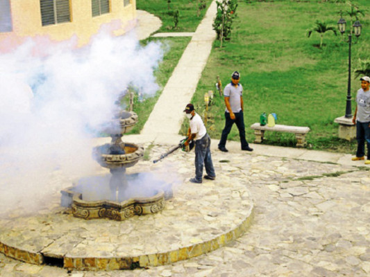 Comayagua en alerta de epidemia por repunte de casos de dengue