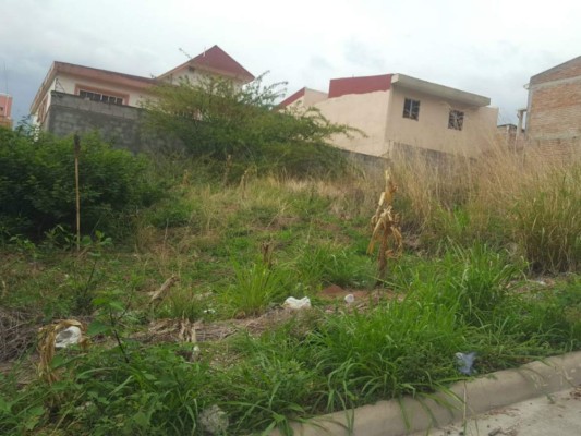 Para prevenir más daños al ambiente realizan operativos&nbsp;&nbsp;