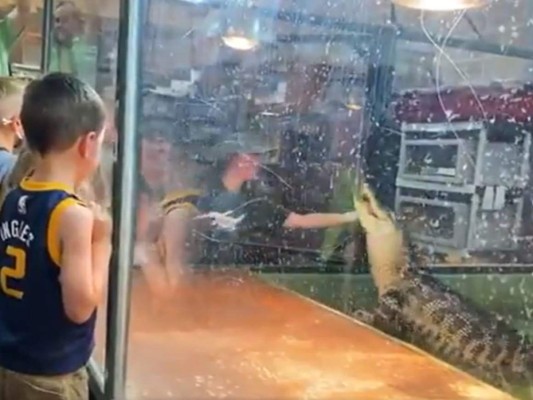 Video: Mujer es atacada por un cocodrilo durante un show