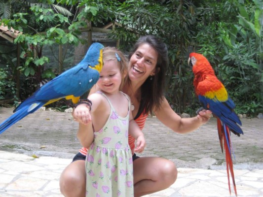 Ginger, el vuelo de una guacamaya