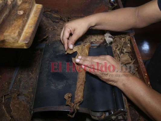¿Cómo se elabora el tabaco hondureño, reconocido entre los mejores a nivel mundial?