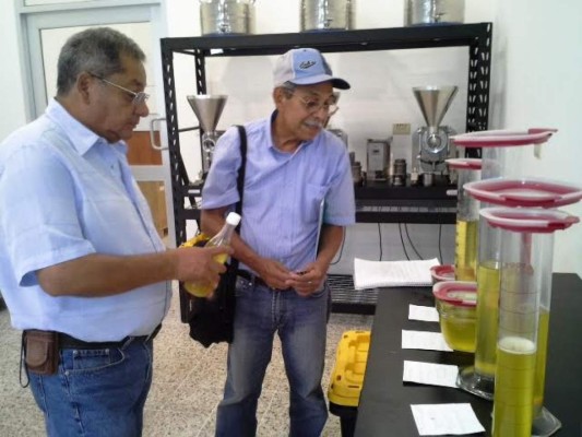 Productores de ajonjolí del sur buscan ampliar cosecha y ventas