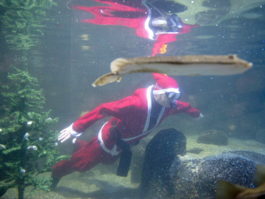 Honduras y el mundo celebran Navidad en recogimiento espiritual