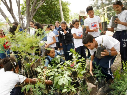 Un centenar de árboles plantan niños ecologistas