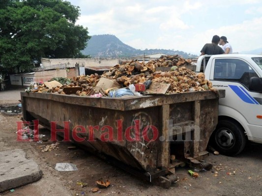 ¿Cómo solicitar la instalación de un contenedor para basura en su barrio o colonia?