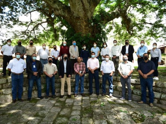 Lanzan iniciativa para impulsar desarrollo de la actividad ganadera en Honduras