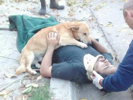Viral: Tony, el perro que 'abrazó' a su amo accidentado en Argentina