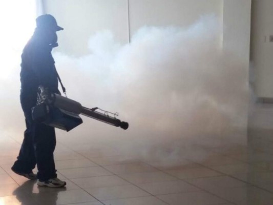 12 de cada 100 casas de la capital tienen presencia del Aedes aegypti