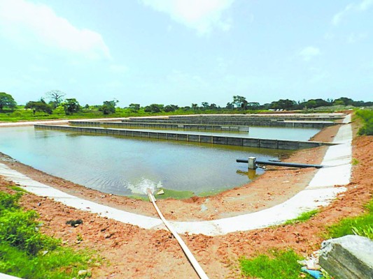 Construyen planta para purificar aguas residuales