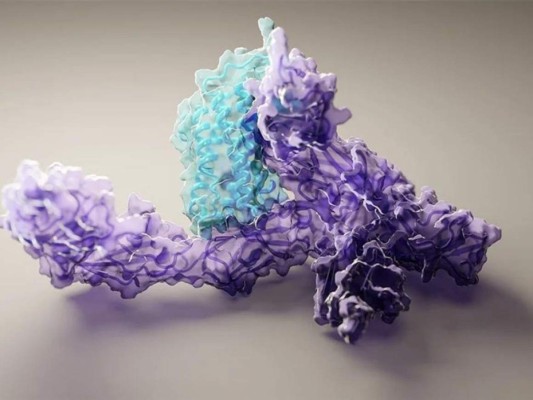 Los principales acontecimientos científicos que marcaron 2021 (Fotos)