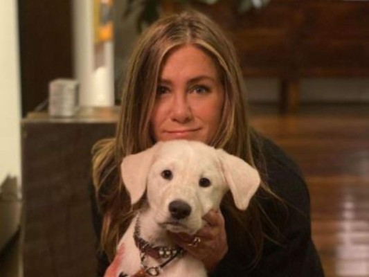 Critican a Jennifer Aniston por polémico adorno navideño