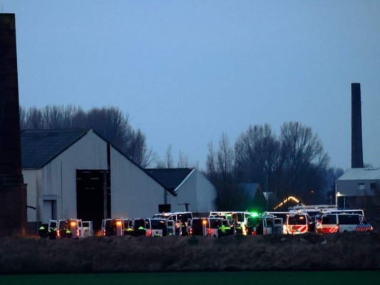 Anulan fiesta ilegal de Año Nuevo con cientos de personas