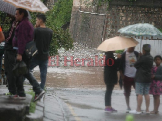 Impactantes imágenes de la crecida del río Choluteca en la capital de Honduras