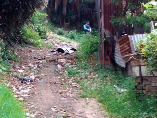 A balazos matan a un joven en la colonia Flor No. 1 de Comayagüela