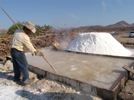Melón, un producto de exportación y fuente de empleo con sello sureño