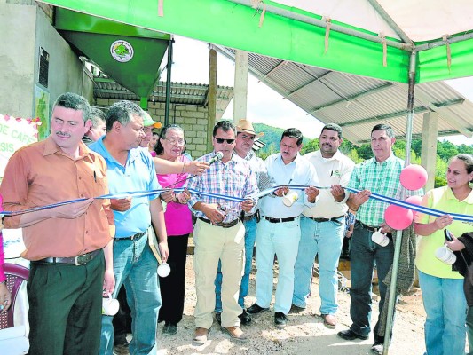 Buscan mejorar utilidad del café