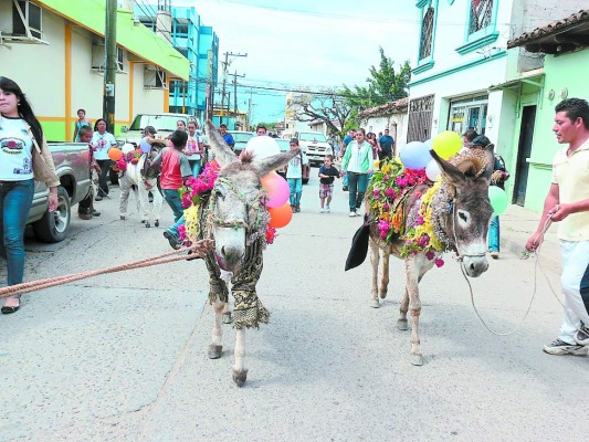 Burros enflorados desfilan por las calles de Comayagua