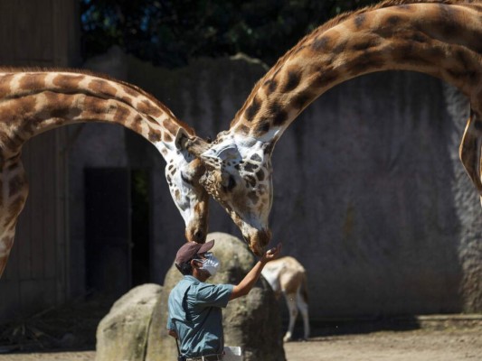 Las 10 mejores fotos que marcaron América Latina esta semana