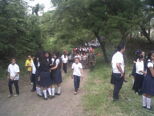 Plantan más de mil árboles en Juticalpa