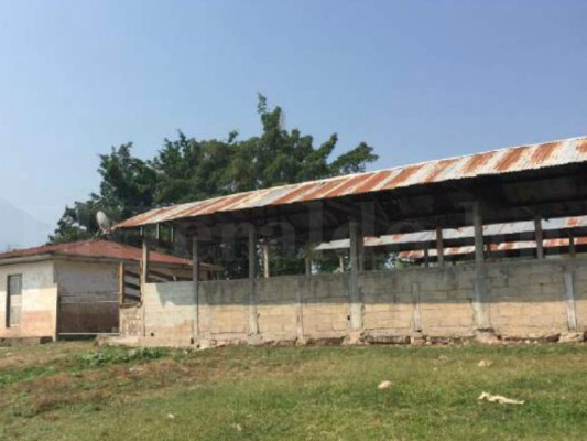 Honduras: Incautan bienes y finca a yerno de Arnulfo Valle Valle en Operación Estigia en Morazán, Yoro