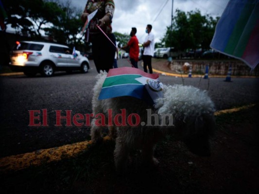 Algarabía en entrega de planillas del PAC y Partido Alianza Patriótica (Fotos)