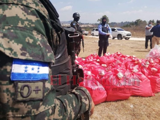 Incineran droga decomisada valorada en 21 millones de dólares