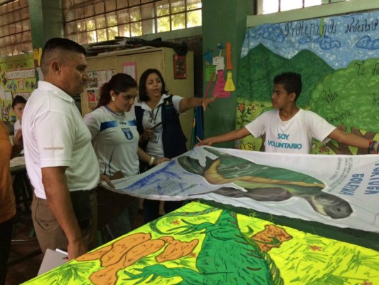 CEB se transforman a través del reto ecológico educativo