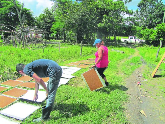 Más de 150 microempresas hondureñas reciben ayuda de la obra Kolping